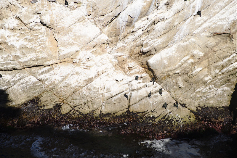 Rock below bird colony, North Shore trail, Point Lobos