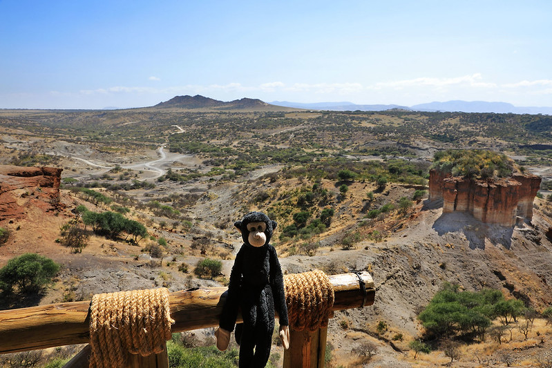 Monkey at Olduvai Gorge