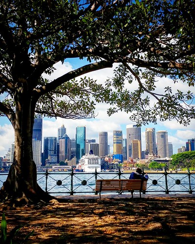 sydney cityskyline ilovesydney milsonspoint australia beautifulview sydneyharbour circularquay framing outdoor compositiom colours lighting newsouthwales travelphotography water fences underthetree whataview lovethisplace ngc pov naturalframing