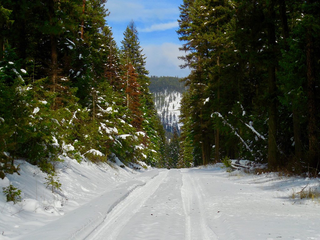 Weeksville Road in winter