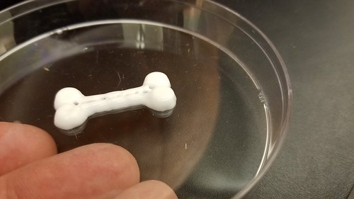 3D Printed Bone
