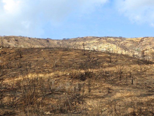 Solstice Canyon, decimated