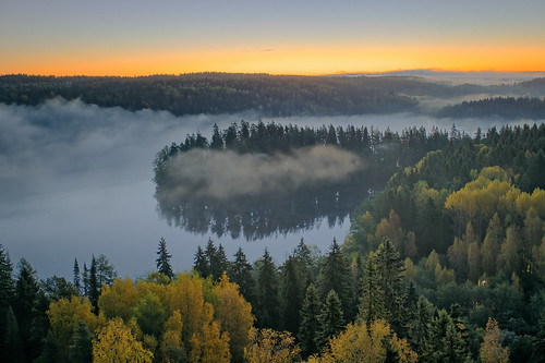 aylnko europe finland hdr aerialview autumn background calm cape colorful countryside fall fantasy fog foggy foreland forest glow glowing haze headland hill idyllic lake landscape magical mist misty morning mysterious mystic mystical nature naturereserve outdoor peaceful peninsula pond scenery scenic season serene silence stillwater sunrise tree vibrant water weather woods