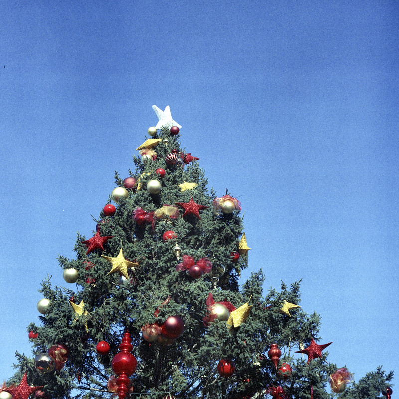 Oakville Christmas Tree