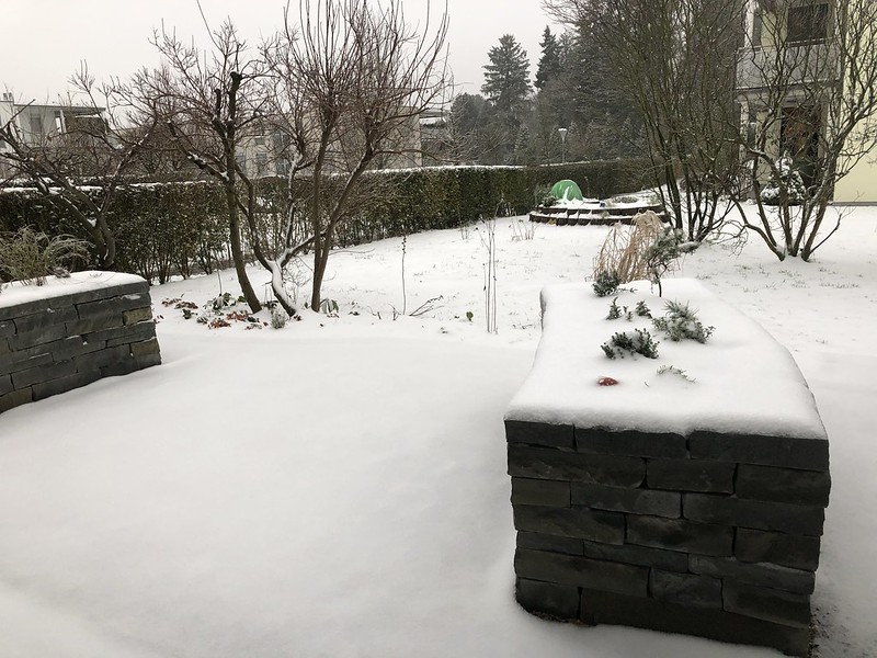 Snow in back garden