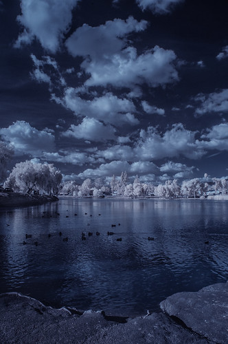 infrared infraredphotography convertedinfraredcamera ir channelswapping lindolake lakeside clouds vegetation water sky highcontrast nature surreal composition reflections trees