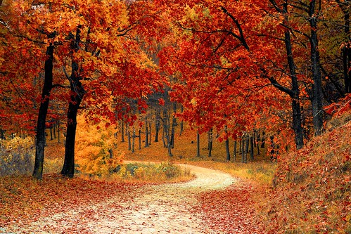 autumn-colourful