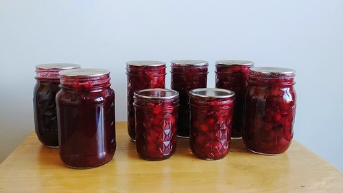 Pickled Cranberries