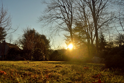 365the2019edition 3652019 day4365 04jan19 pro ni d3200 sunrise morning trees sun shadows