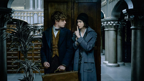 Fantastic Beasts and Where to Find Them - Screenshot 2