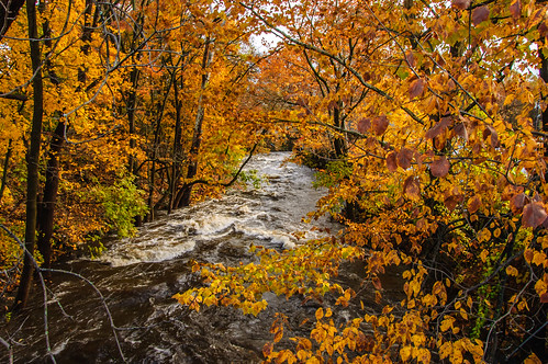smack53 fall fallseason fallcolors foliage autumn autumnseason autumncolors butler newjersey water river stream leaves trees brook creek nikon d100 nikond100