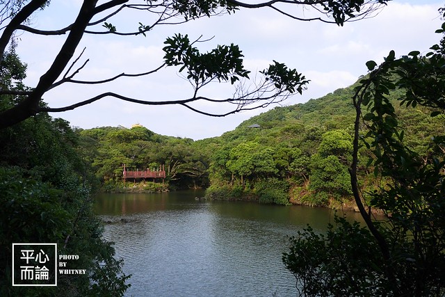 情人湖公園 (14)