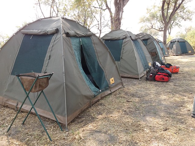 Vuelo sobre el Delta del Okavango. Llegamos a Moremi. - POR ZIMBABWE Y BOTSWANA, DE NOVATOS EN EL AFRICA AUSTRAL (28)
