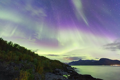 My Sky got Crazy - Northern Lights - Nordland - Norway