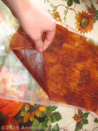 Peeling off the waxed paper after making dried applesauce. The edges are probably the trickiest.