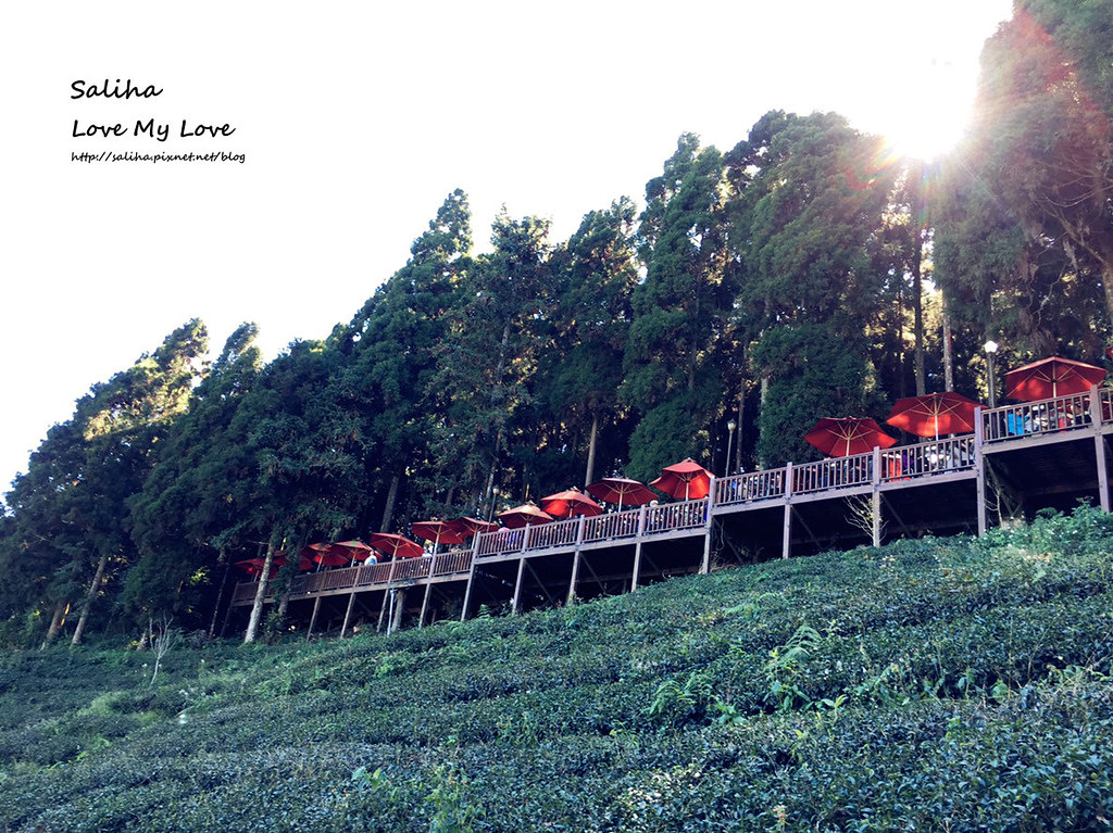 新竹一日遊必玩景點推薦山上人家景觀餐廳森林咖啡館 (52)