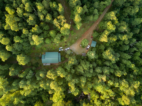 dji mavic arial landscape cabin forest trees