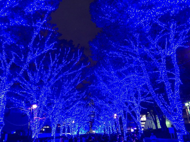 青の洞窟 SHIBUYA　代々木公園