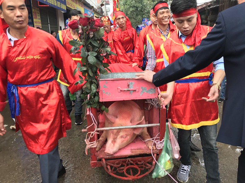 The pig is paraded through the village and money collected, 2018