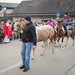 Blagoslovitev konj Komenda 2018