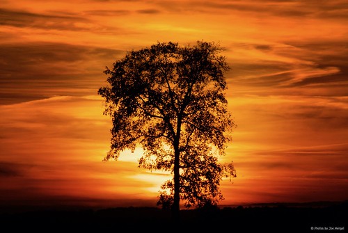 eternalflame evening eveninglight ephratapa ephrata pennsylvania pa tree silhouette silhouettes lancastercounty sunset sunlight fall field clouds watchingthesunset