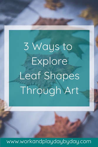 Exploring Leaf Shapes Through Montessori Art
