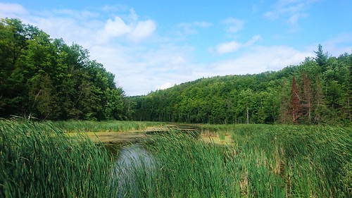 Silver Creek Conservation Area