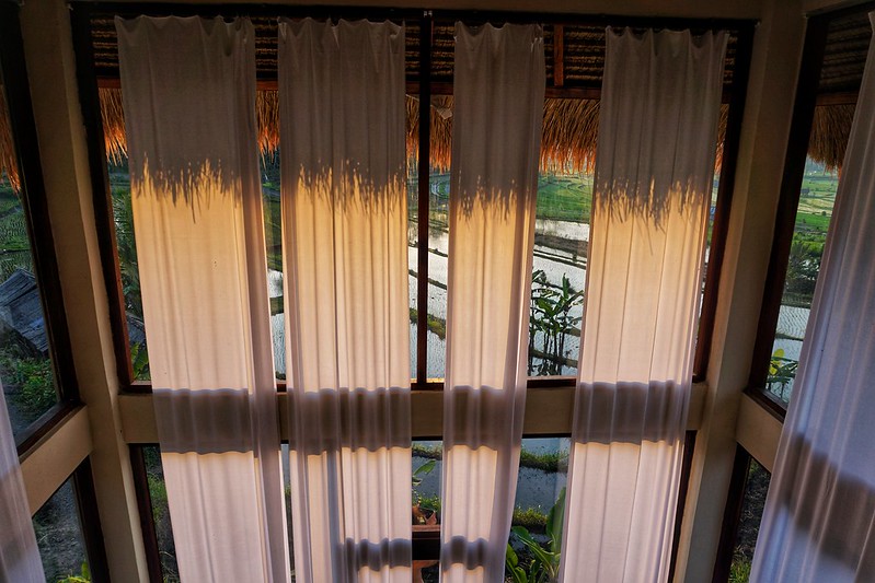 Sunrise through the curtains in Bali rice terraces