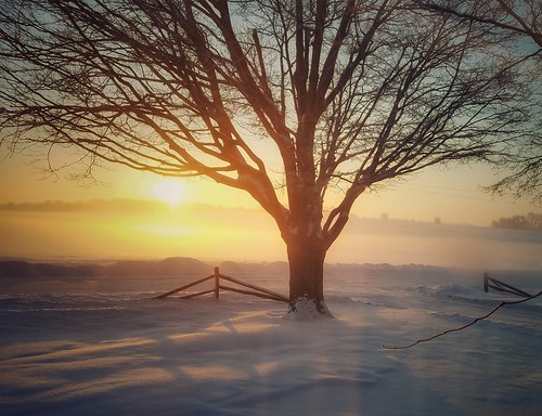 sliderssunday hss sunrise sun snow winter cold weather illinois tree fence bonechilling winterweather fog mist