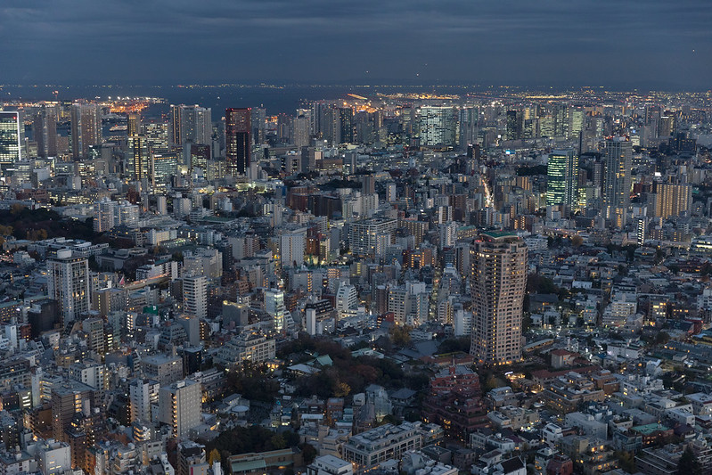 Tokyo from Above