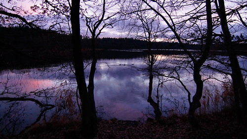 sø lake landskab landscape sky cloud himmel almindsø lakealmind skov forest træ tree refleks reflex sunset