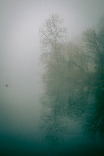 water lakeelkhorn landscape fog