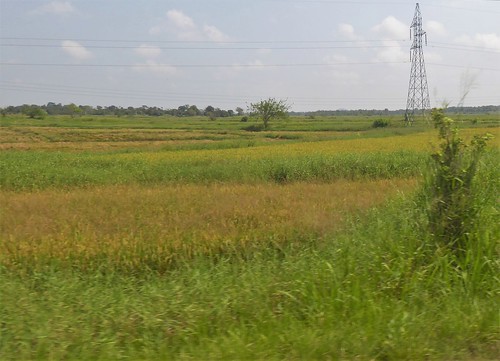 sl-3 batticaloa-polonnaruwa (12)