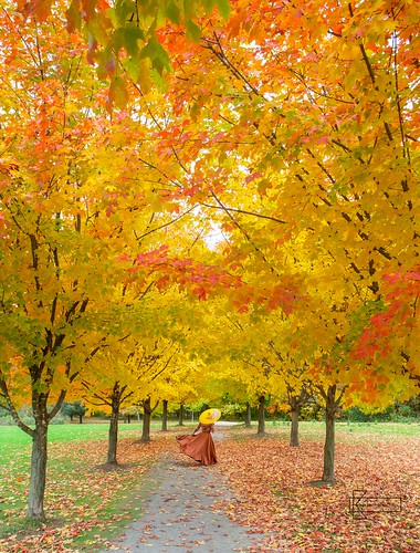 canada toronto2018 umbrella autumn beautiful colors enjoying foliage happiness joy landscape leaves moment nature outdoors park path portrait trees walking woman