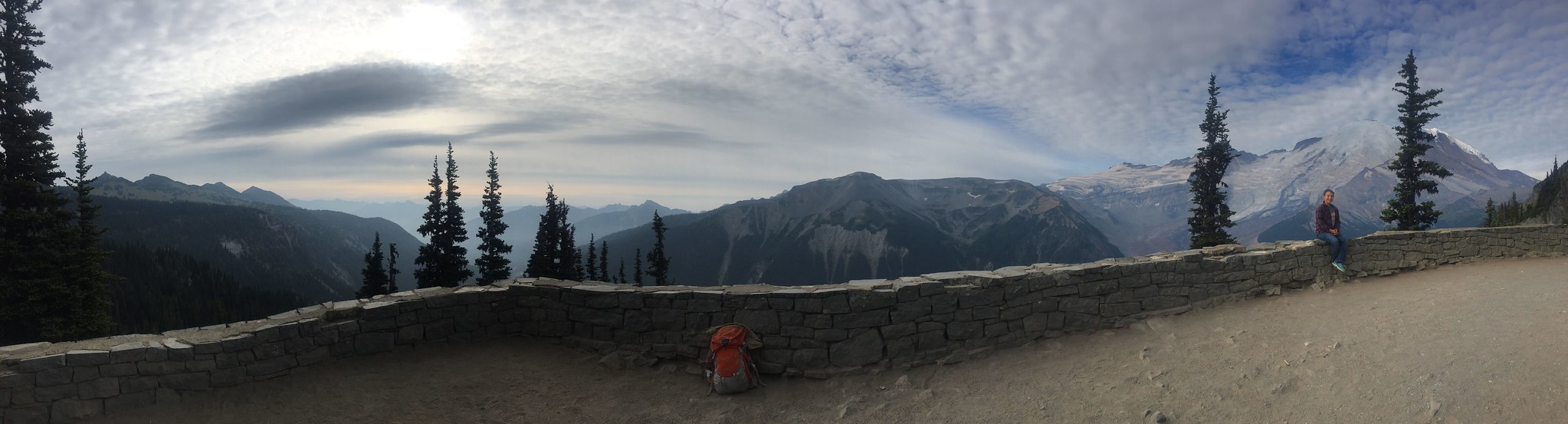 Casper looking out Mt Rainier from Burroughs Mountain