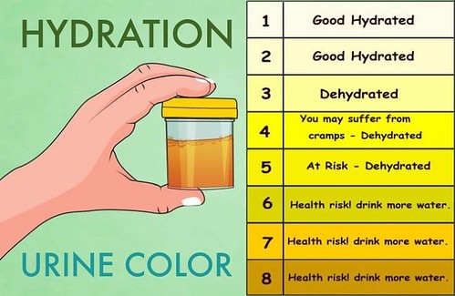 Printable Hydration Chart Urine Color