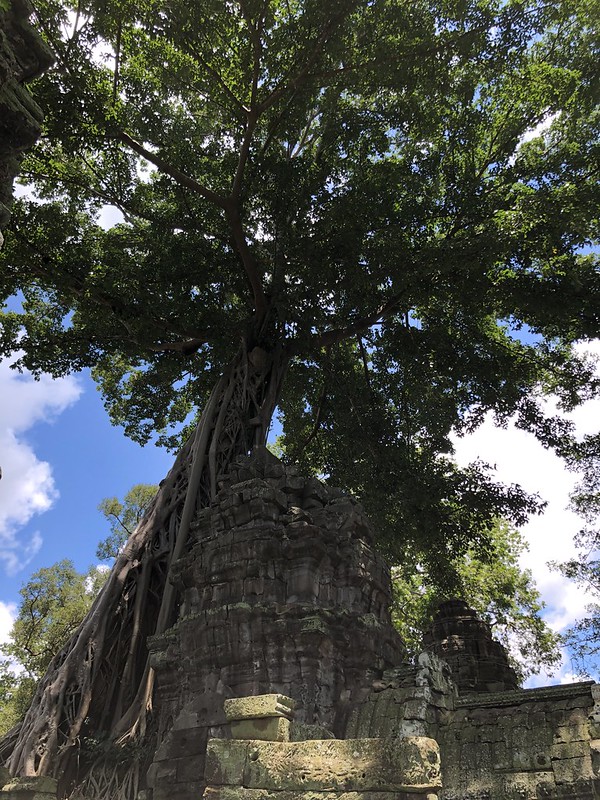 Angkor II: recorrido corto - Myanmar, Camboya y Laos: la ruta de los mil templos (31)