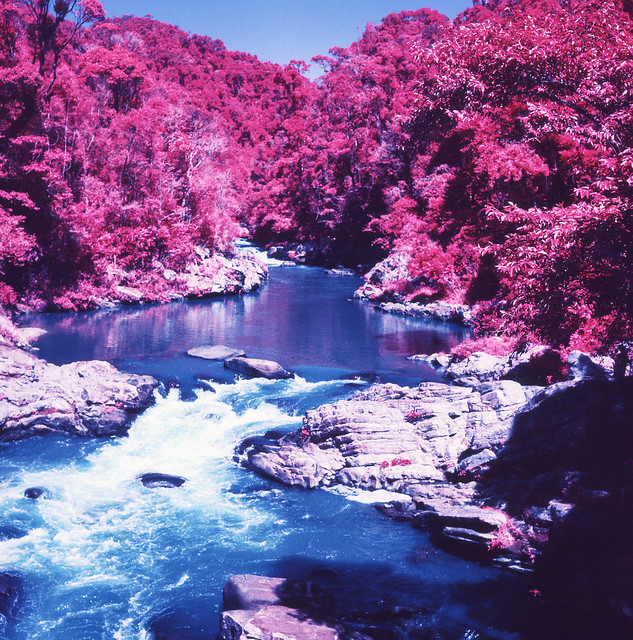 Red Riverbank