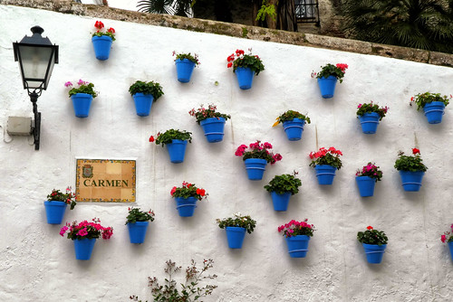 Spain - Marbella - flower pots on a wall