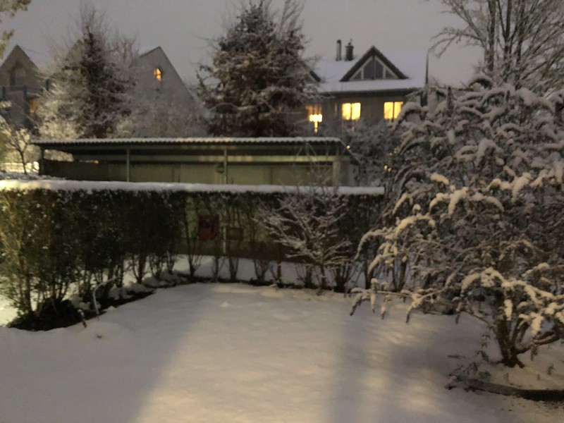 Garden in Snow