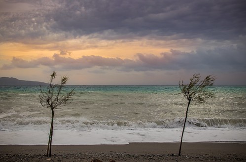 sea beach kalamata greece messinia tree 2 two sky clouds sun seascape view waves wind winter water sand