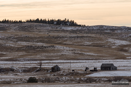 montana december winter snow cold nikond750 nikon180mmf28 telephoto clouds evening abandoned house cows quietus