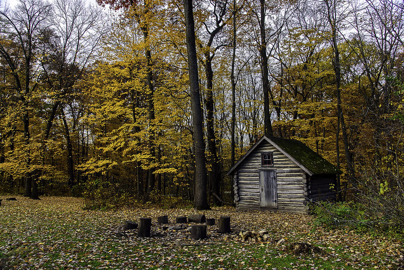 The Autumn Cabin