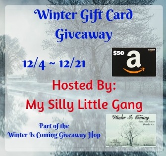 Winter Gift Card Giveaway & Giveaway Hop