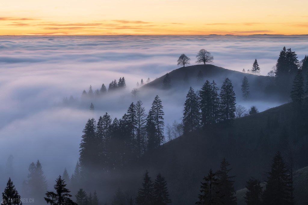 Fog in the hills - Oberrämis