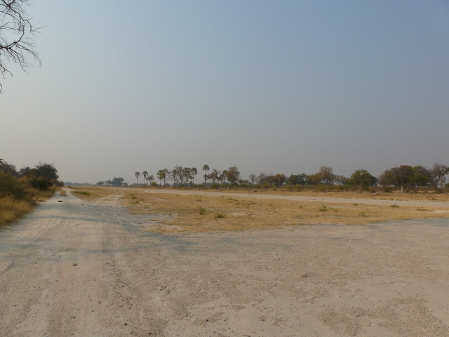 Vuelo sobre el Delta del Okavango. Llegamos a Moremi. - POR ZIMBABWE Y BOTSWANA, DE NOVATOS EN EL AFRICA AUSTRAL (1)
