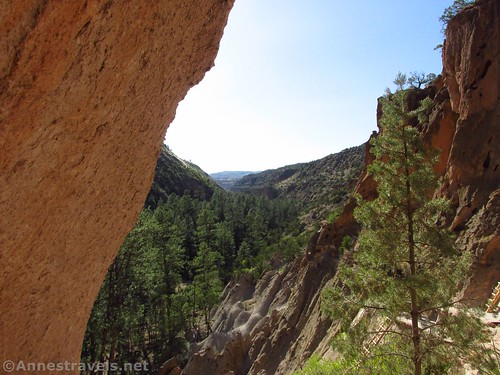 Views upcanyon from Alcove House in Bandelier National Monument, New Mexico