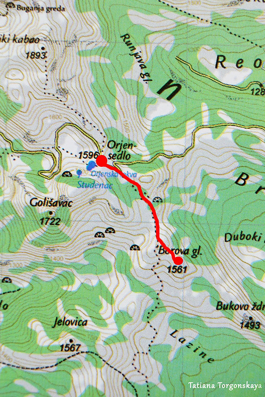 Карта с маршрутом "Орьенское седло - Борова глава"
