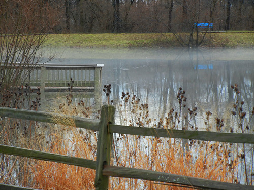 project52 park lake landscape bench fence winter indianapolis indiana 2019 mist nature pond reed