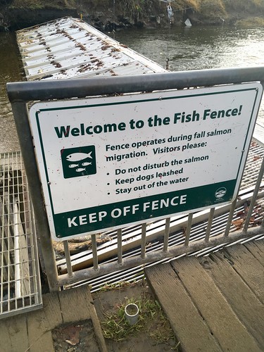 Fish fence